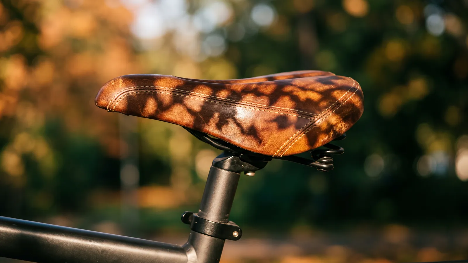 Brown leather saddle in dappled sunlight